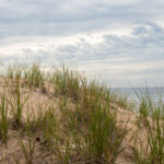 OLYMPUS DIGITAL CAMERA Charlottetown, PEI, Prince Edward Island, Canada, Landscape Photography, Toronto Photographer