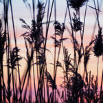 Long Point, Lake Erie, Discover Ontario, Parks Ontario, landscape photography, Toronto photographer